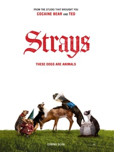 Strays