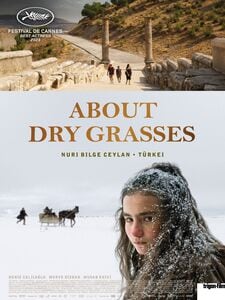 About Dry Grasses