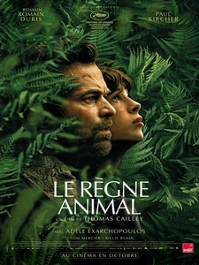 The Animal Kingdom