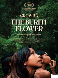 Crowrã – The Buriti Flower