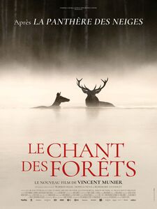 Le chant des forêts