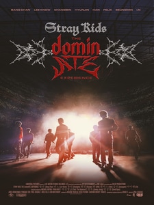 Stray Kids: The dominATE Experience