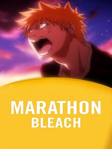 Bleach Marathon