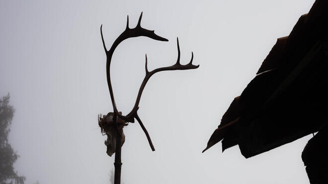 Tell – Jagd auf Ewig