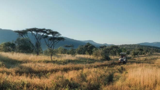 Thabo – The Rhino Adventure