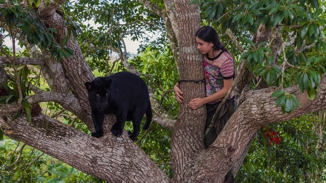 Ella und der schwarze Jaguar