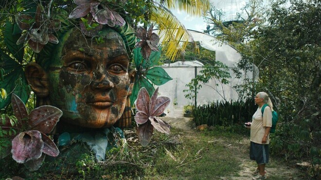 Les Voyages de Tereza 