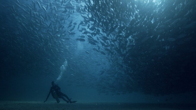 La Leggerezza Sommersa