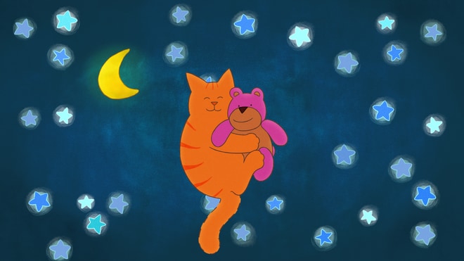 Tummy Tom and the Lost Teddybear 